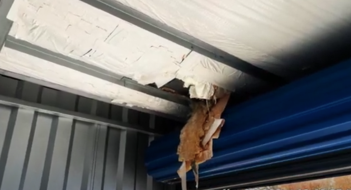 Clogged Gutters